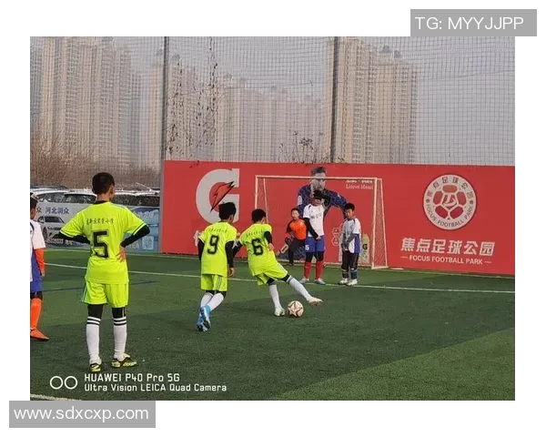 激情四溢的实况足球歌曲带你领略绿茵场上的热血与梦想